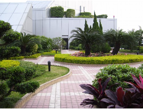 博鱼官方网站：安陆城市绿化带植物叫什么